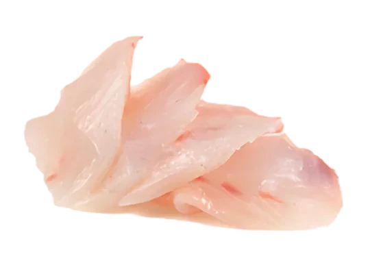 Photo de SASHIMI DAURADE X8
